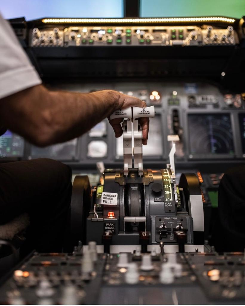 Mano en el throttle de un avión